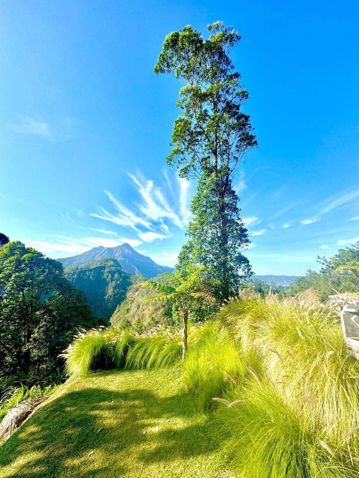 Alengkong Bali Camp Hotel Bangli Exterior foto